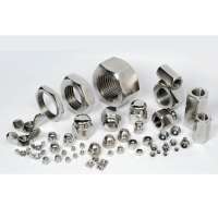 Superior Quality Great Finish Polished Surface Stainless Steel Fasteners